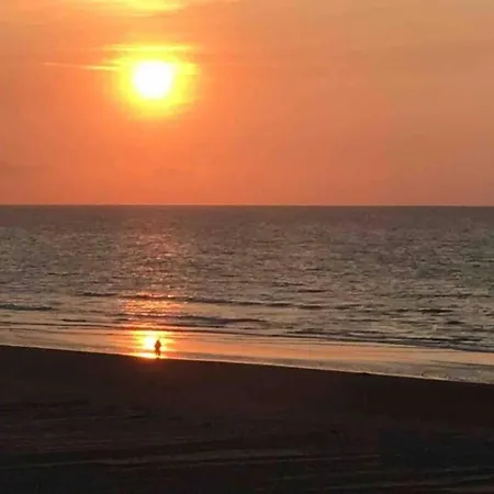 On Zeedijk With Stunning Sea View, Cleaning Included * 코크시데
