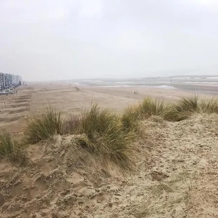 Sablon 501 Seafront In Koksijde, Cleaning Included Koksijde