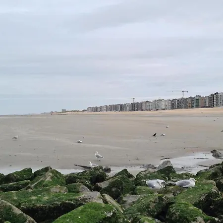 아파트 On Zeedijk With Stunning Sea View, Cleaning Included