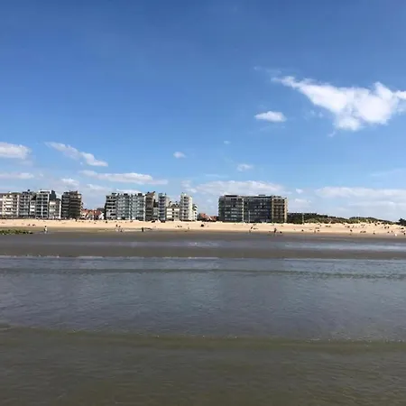 On Zeedijk With Stunning Sea View, Cleaning Included *