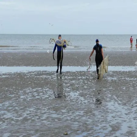 Sablon 501 Seafront In Koksijde, Cleaning Included Koksijde