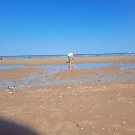 On Zeedijk With Stunning Sea View, Cleaning Included 아파트