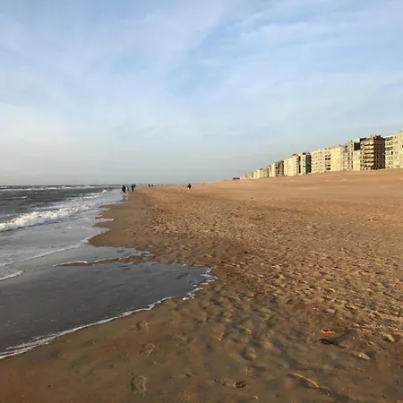 Sablon 501 Seafront In Koksijde, Cleaning Included Apartment *