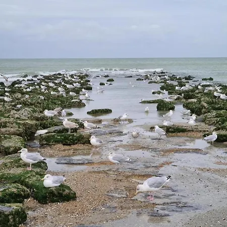 아파트 On Zeedijk With Stunning Sea View, Cleaning Included 코크시데